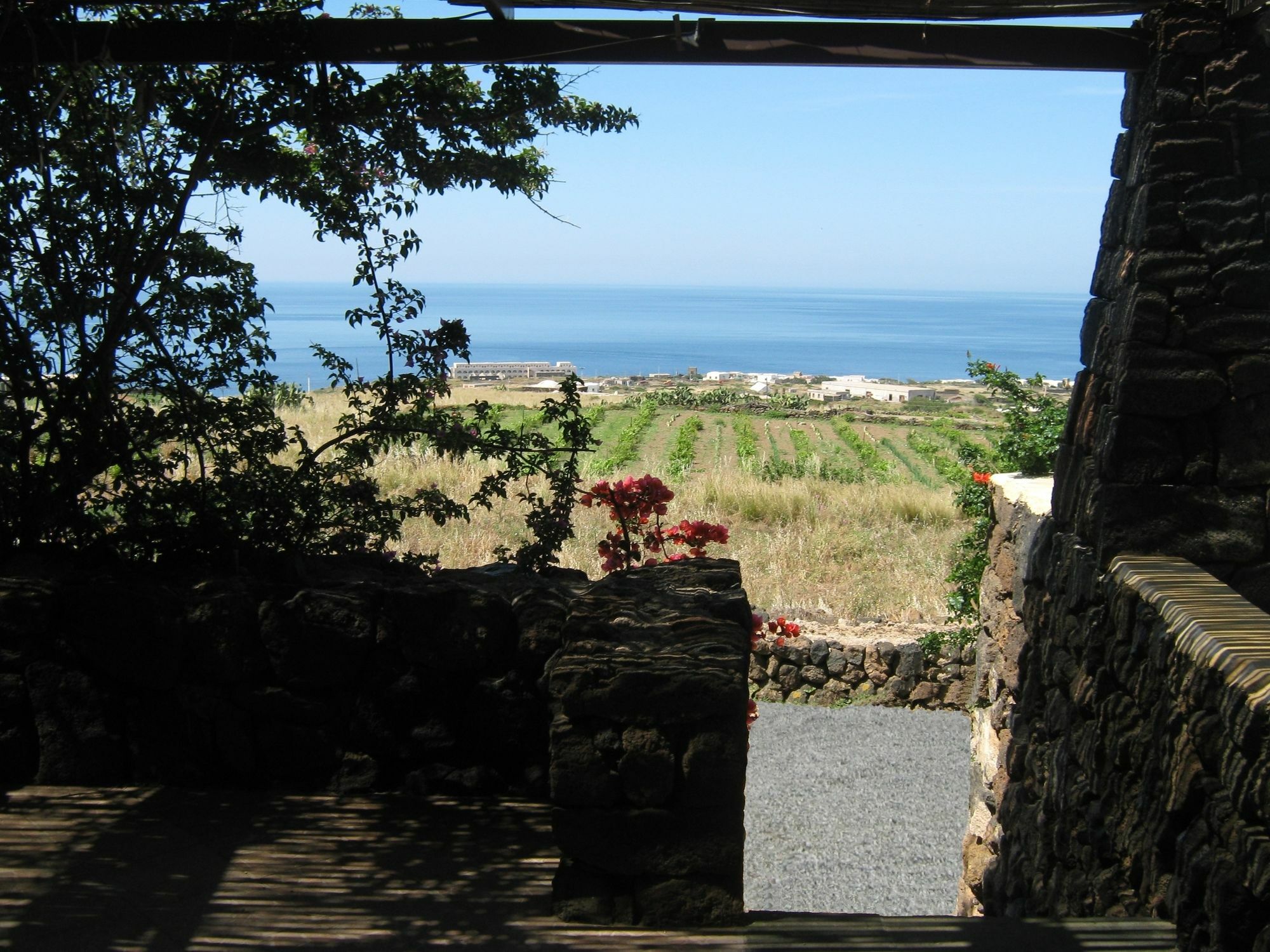 Agriturismo Zibibbodoro Scauri  Exterior photo