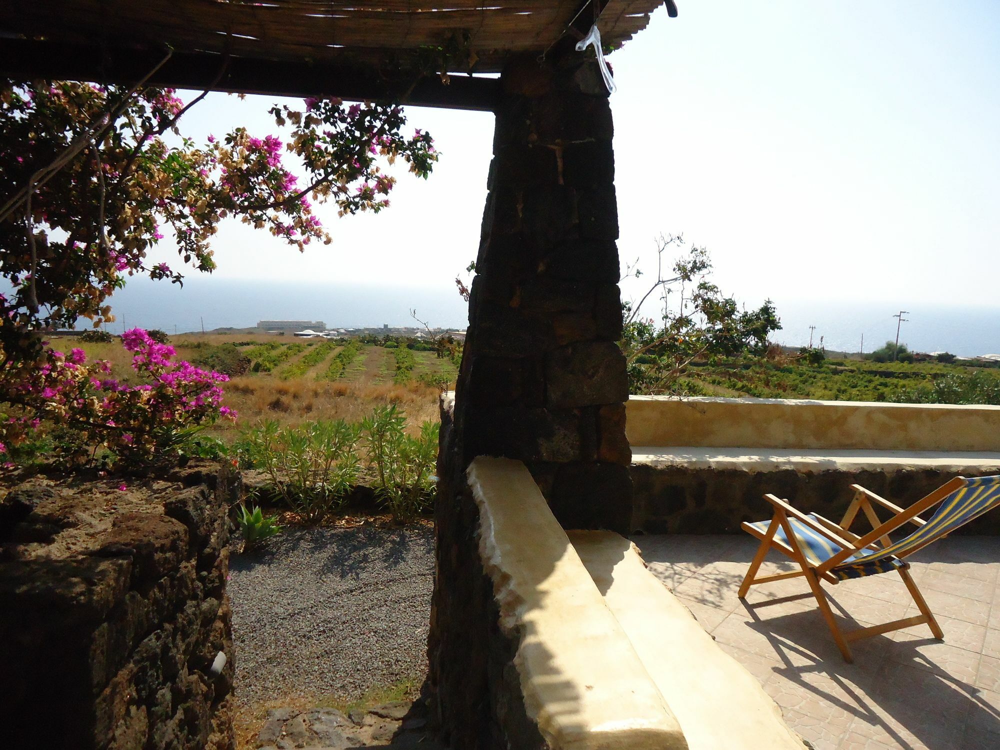 Agriturismo Zibibbodoro Scauri  Exterior photo